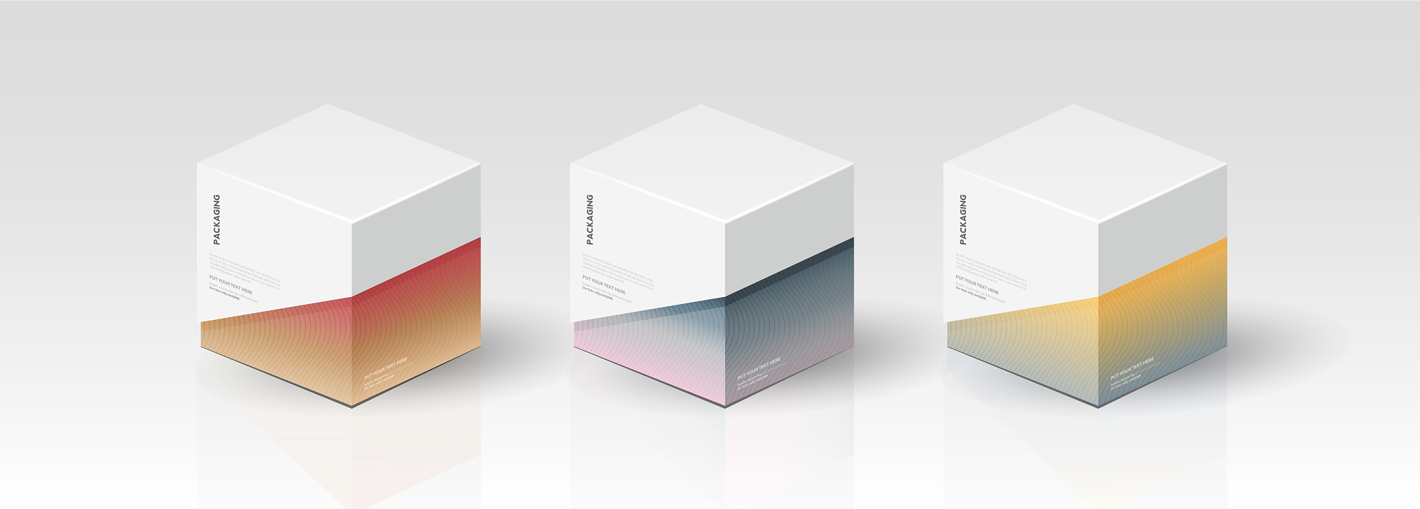 box packaging template for product design