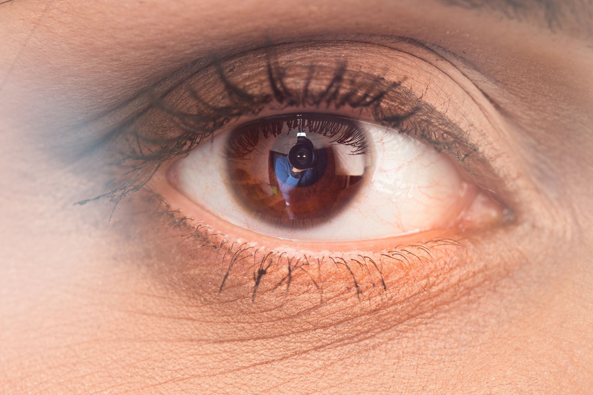 woman's brown eye