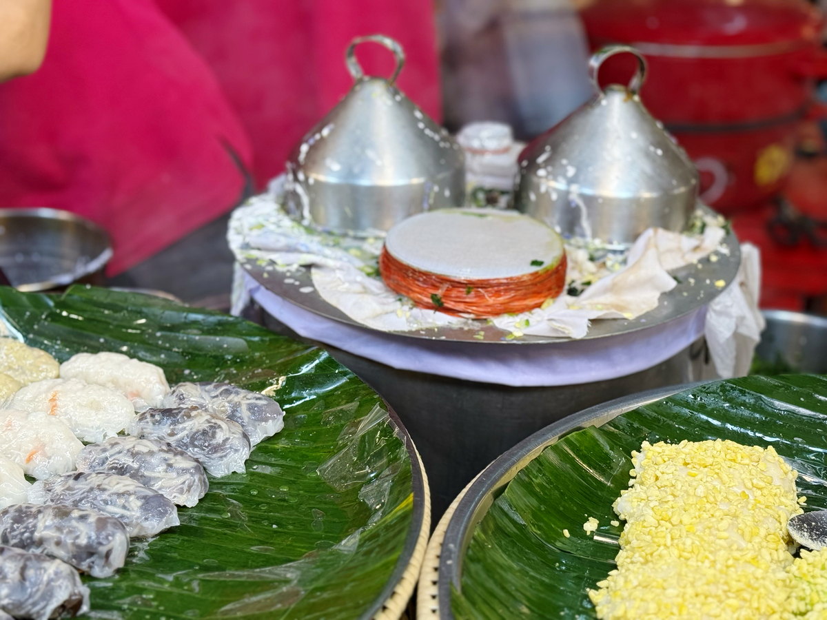 越南：东南亚魅力国度，探寻历史文化与自然风光