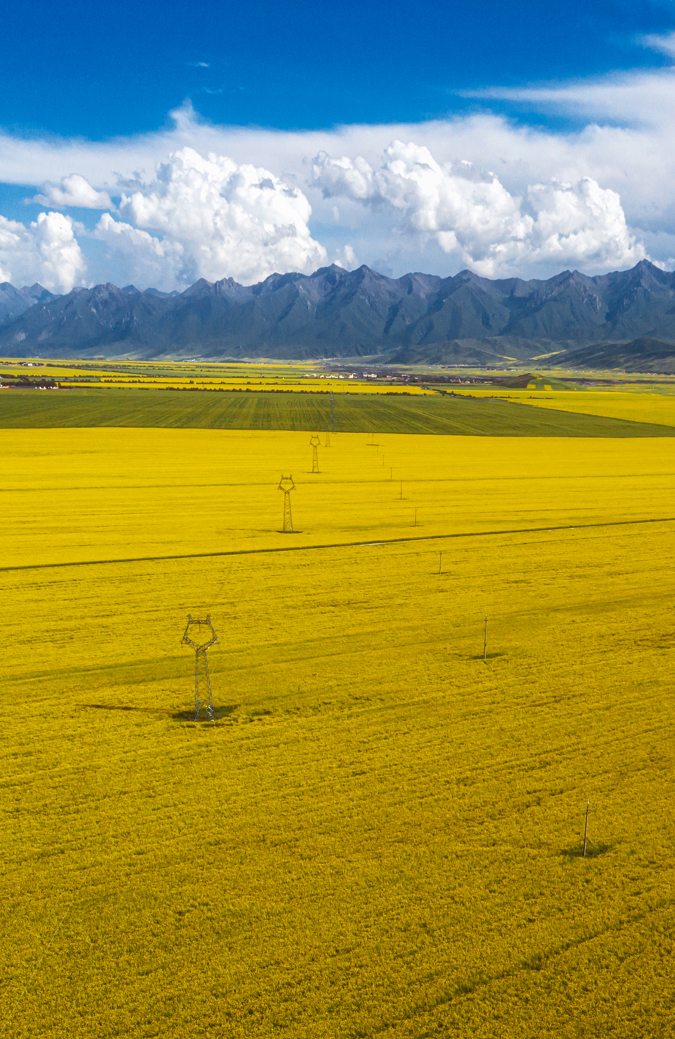 2022年青海省门源职校招生专业及介绍-助力未来职业发展