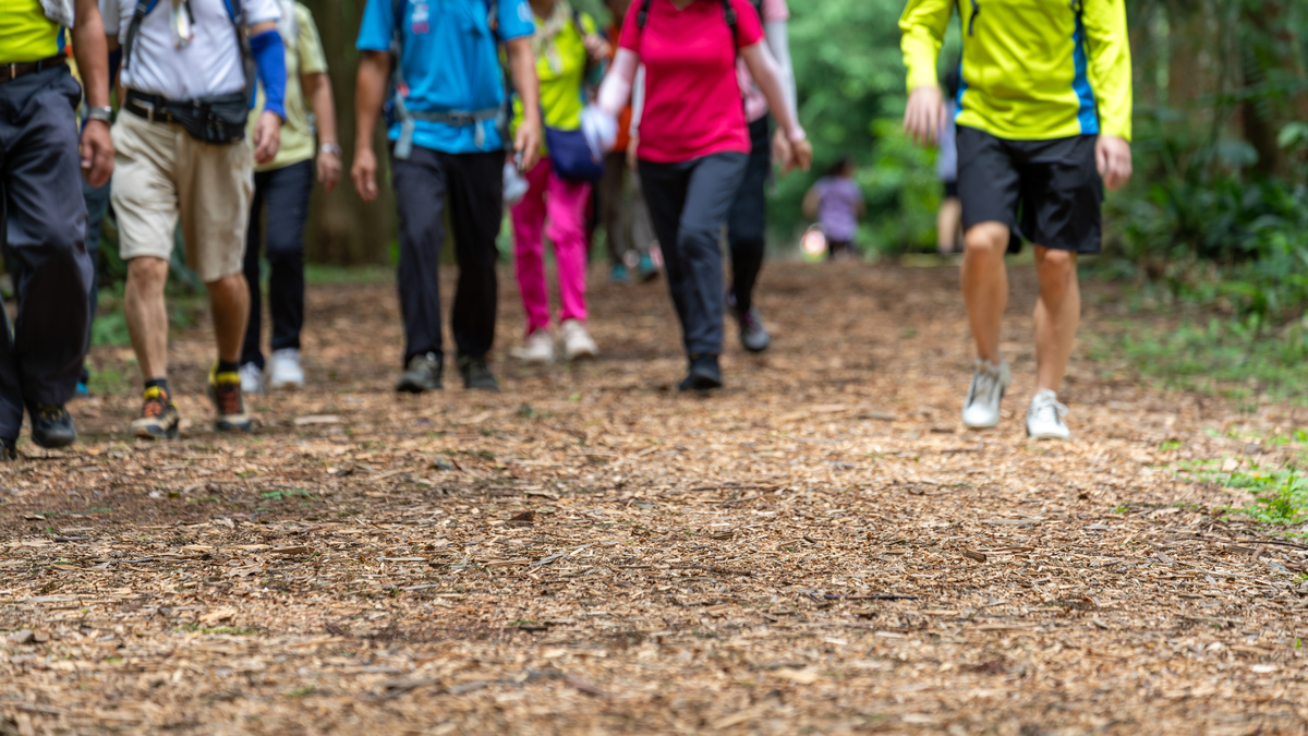 给赤足行走活动取主题名称多取几个