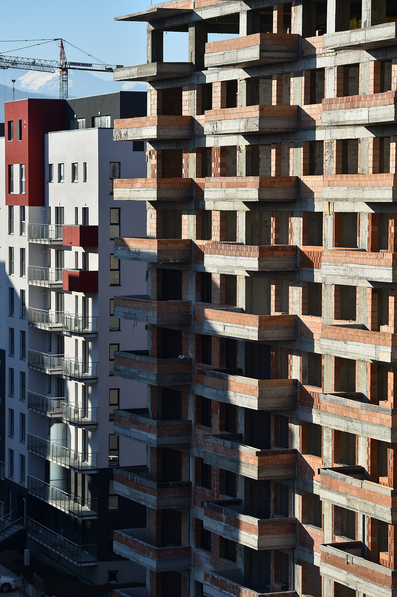 简述国际建设工程投标的联合形式。