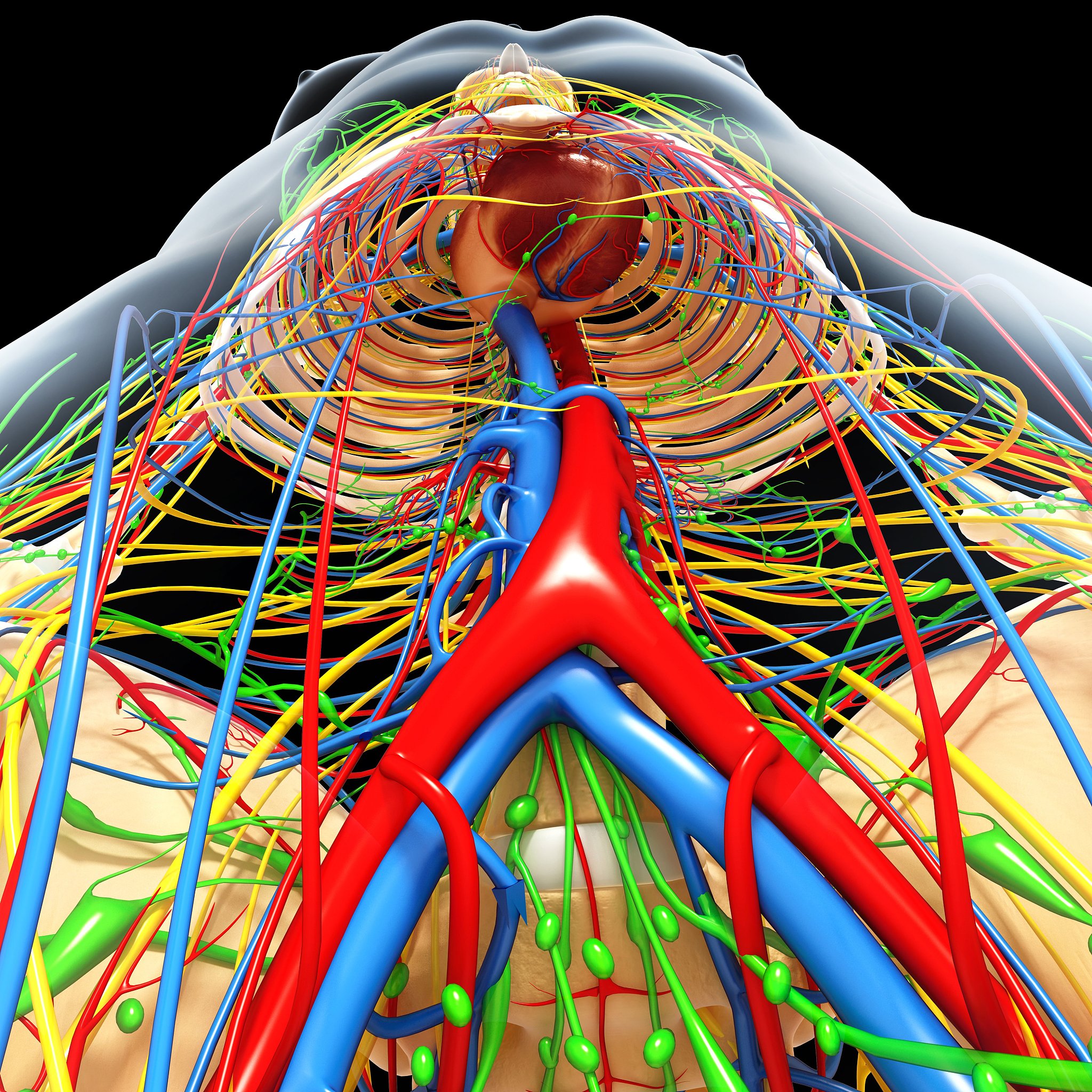 请帮我设计一个2D3D配准的实验