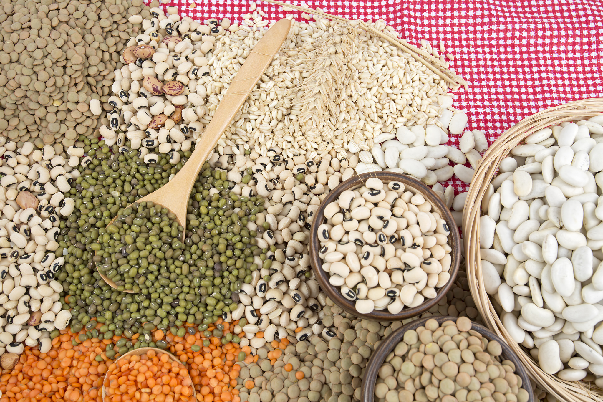 the dried foods; mixed raw legumes, background