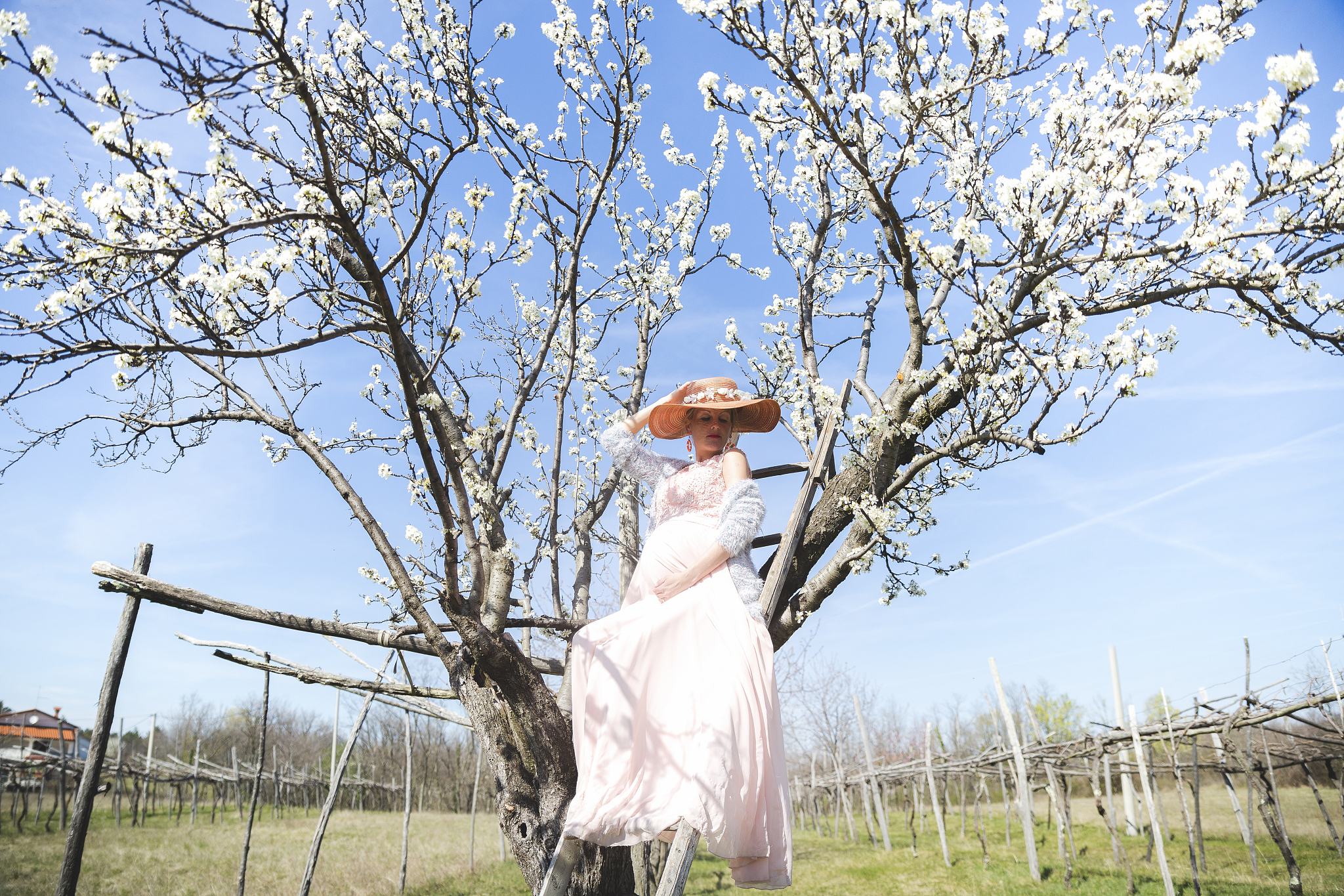 pregnant woman posing under plum tree