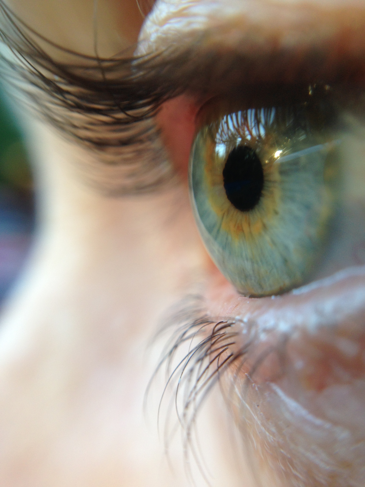 close-up of human eye