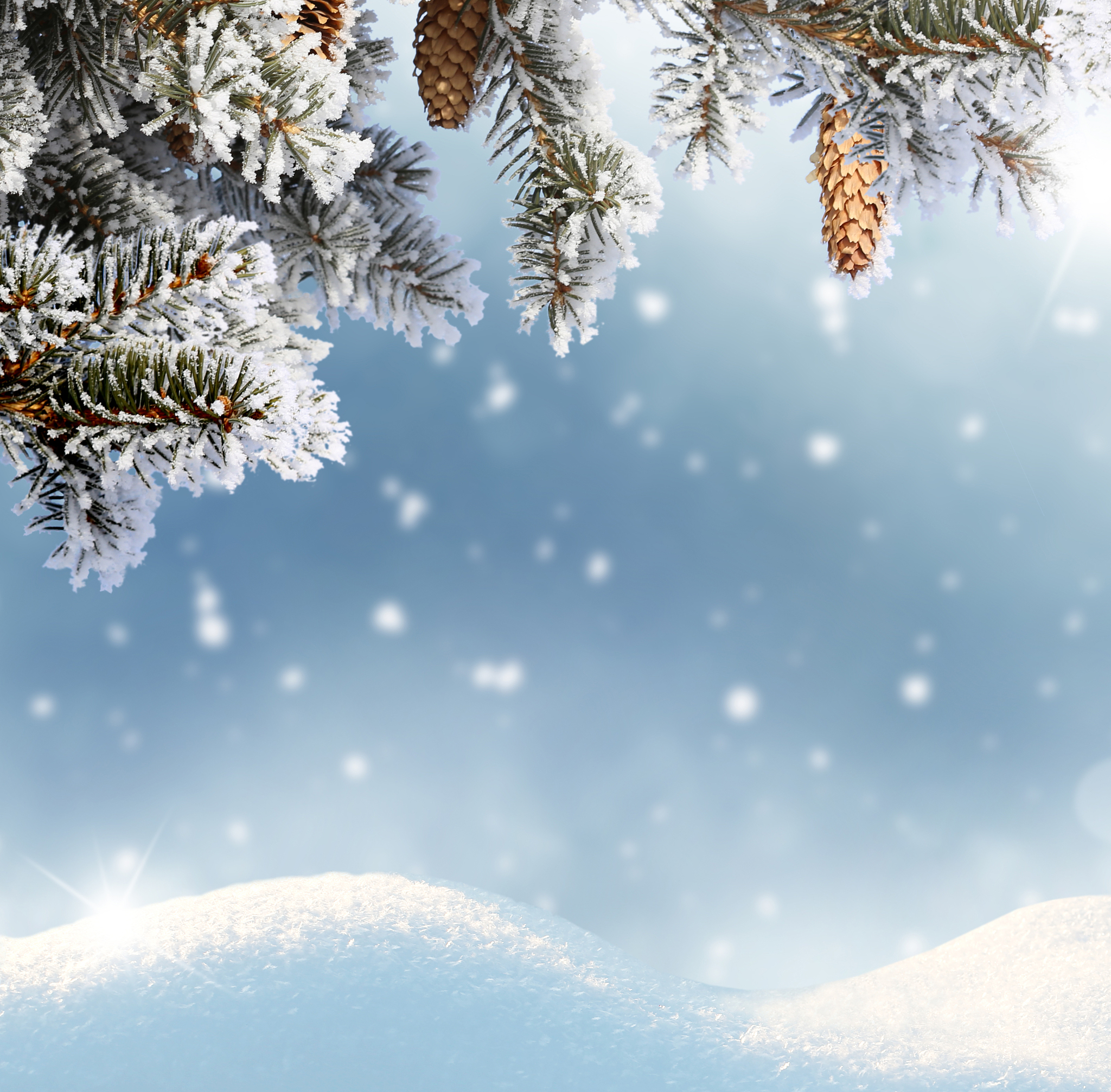 就以冬天为主题吧