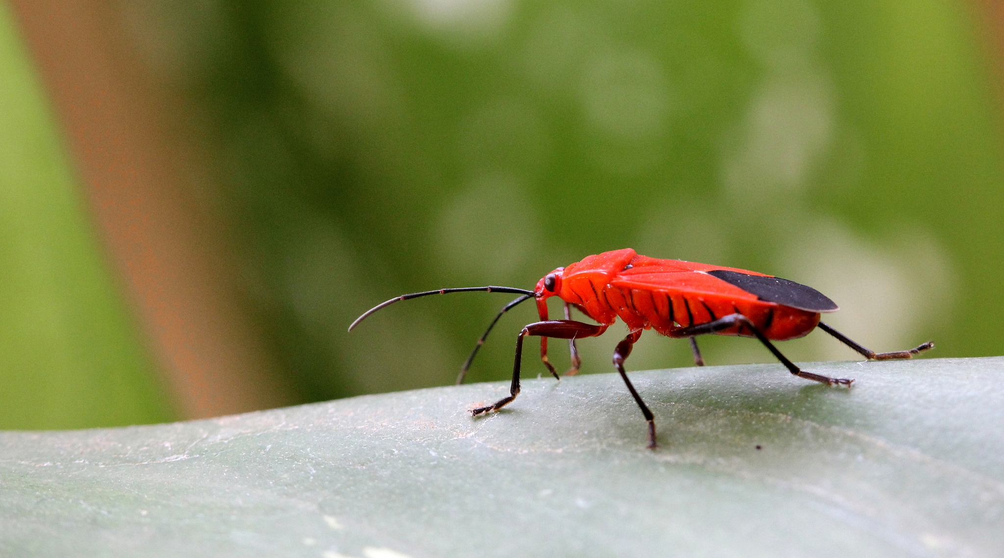 清宫计 手游更新日志