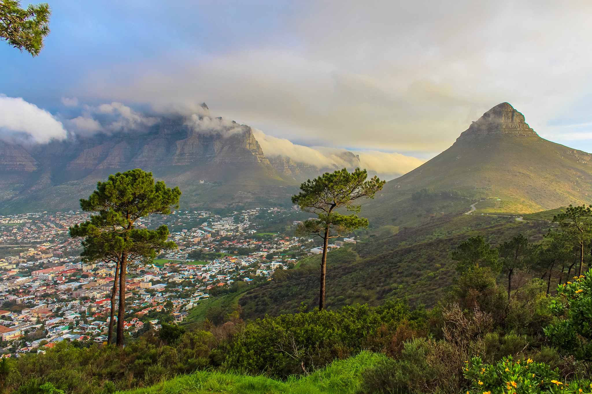view from signal hill