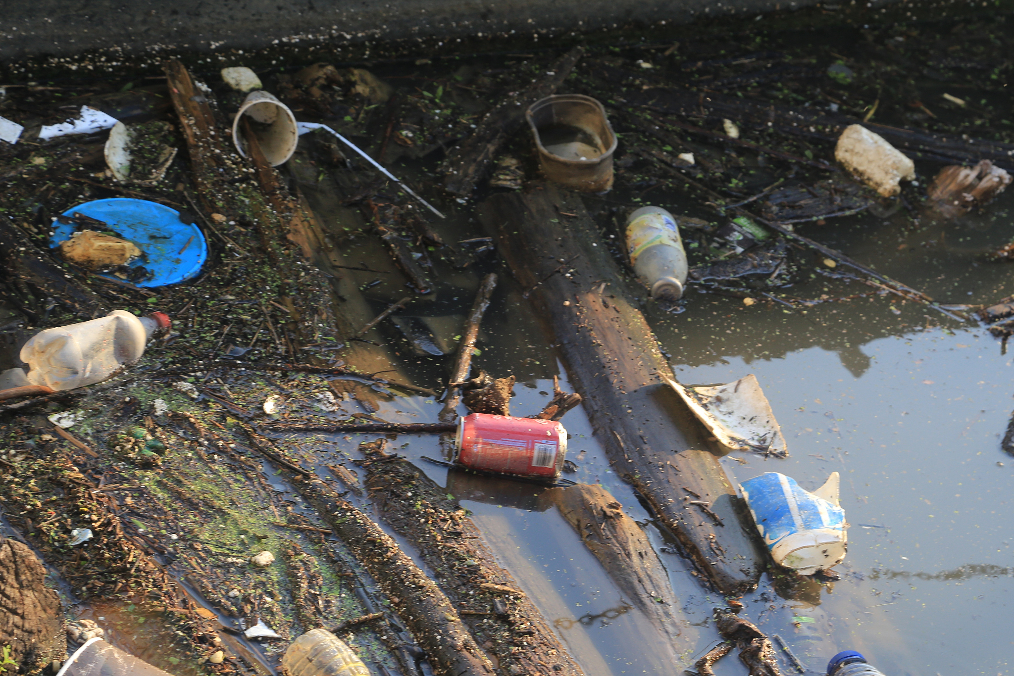 中国和日本民众对日本核废水排海计划的态度调查：4000字深度解析