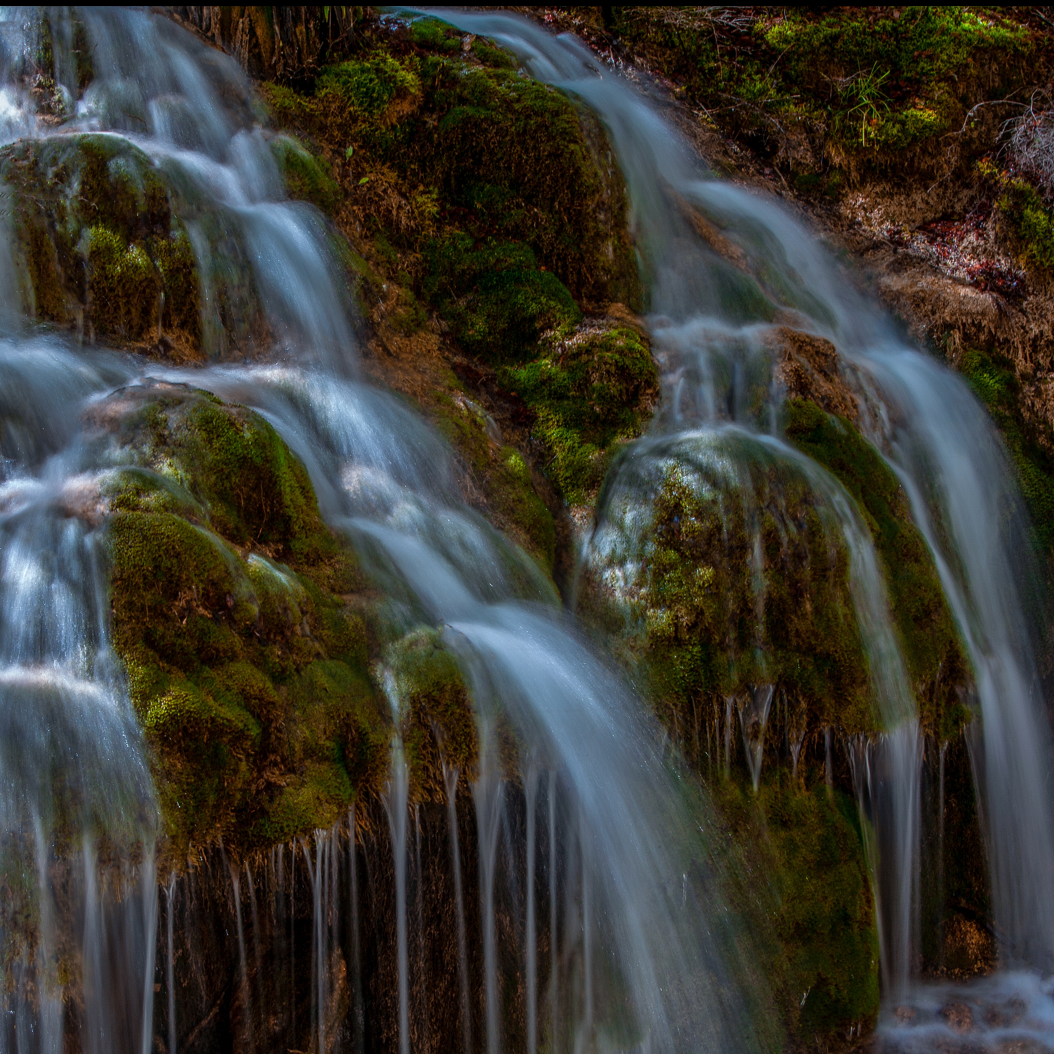 四川省旅游学校2019年招生简章 - 培养旅游行业精英人才
