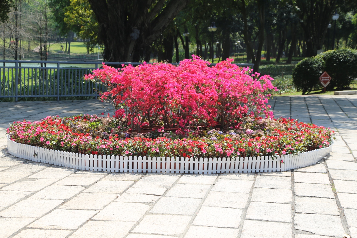 道路花坛景观花卉维护花箱翻新刷漆制作宣传文案