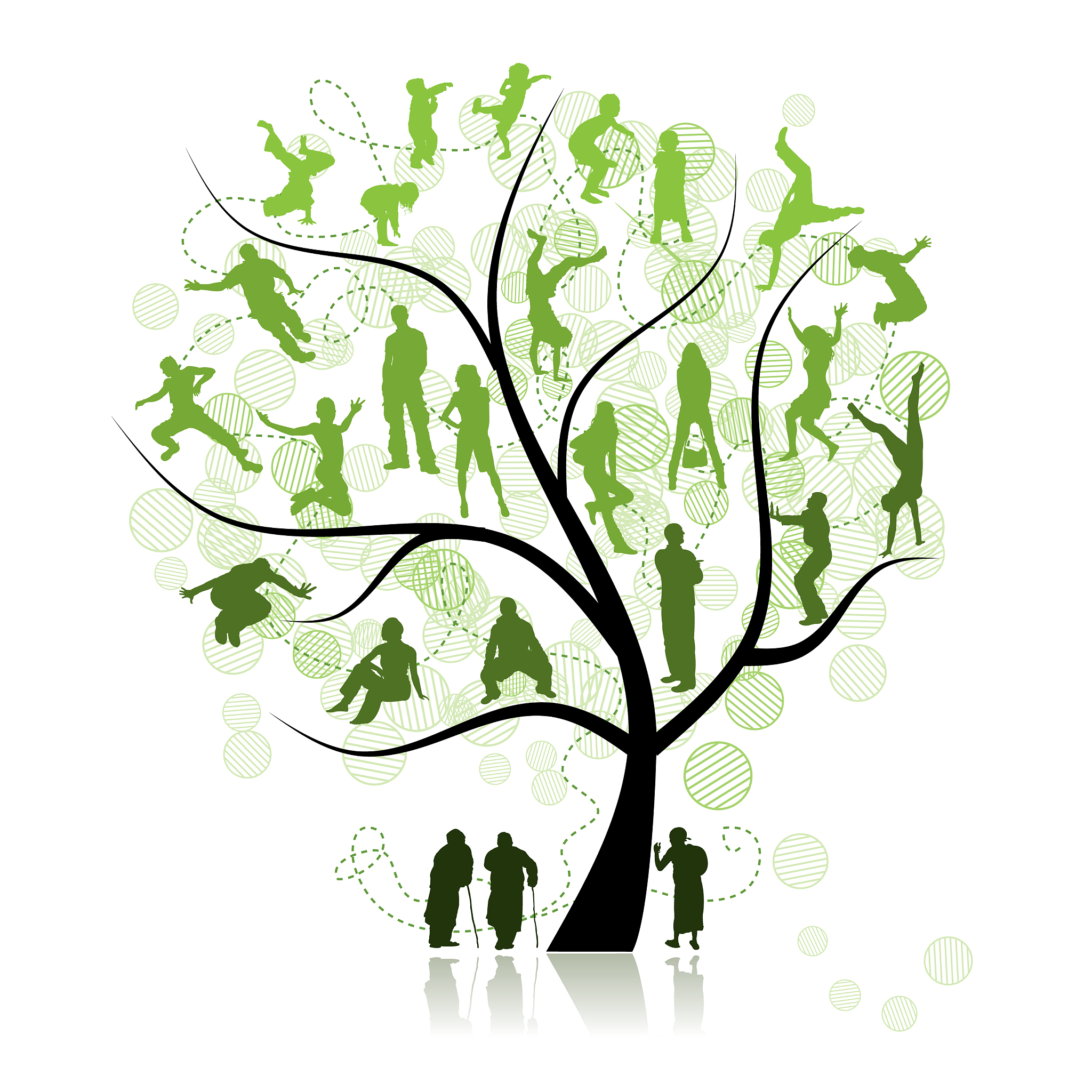 family tree