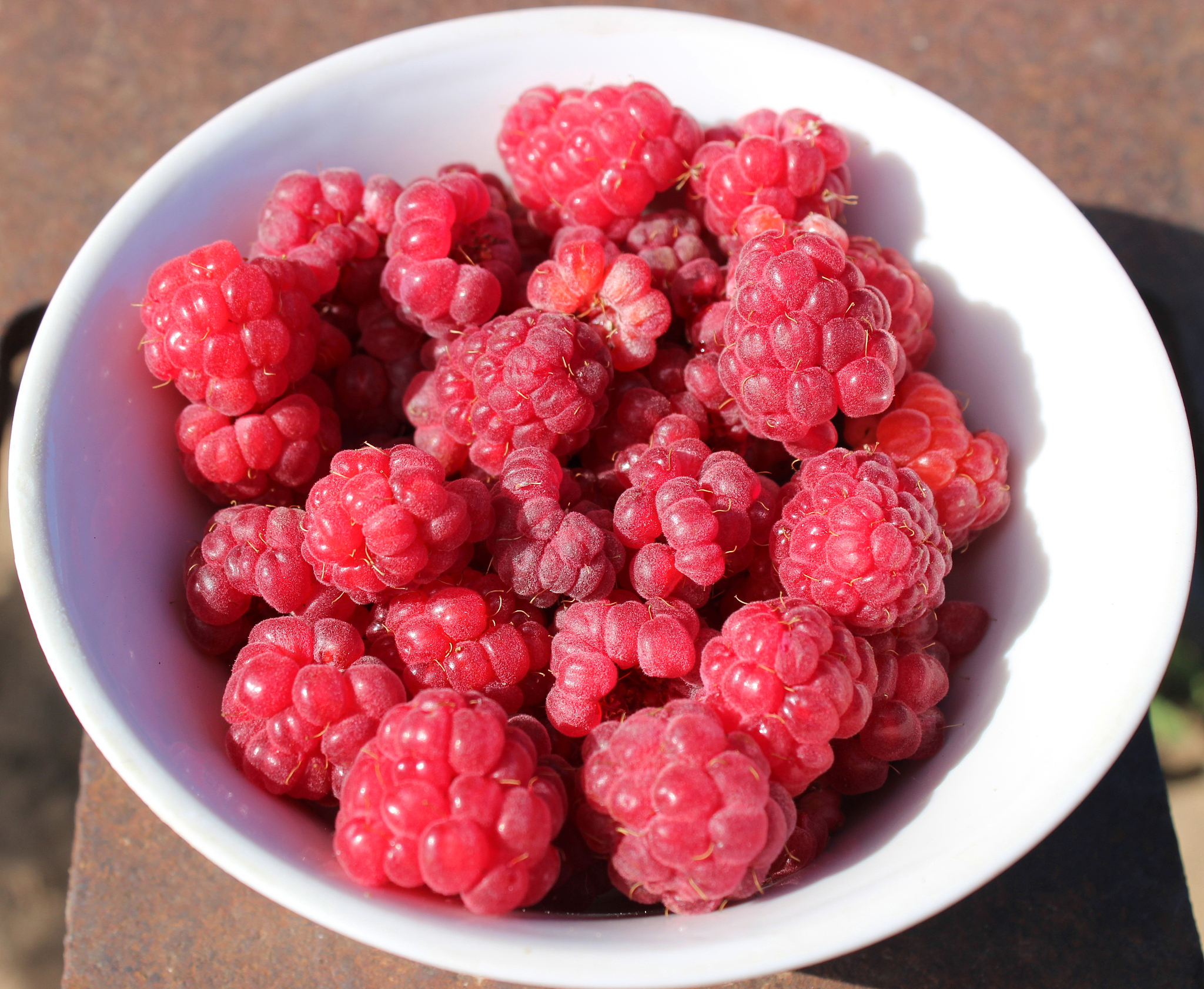 1寸照片尺寸详解：大小、用途及像素解析