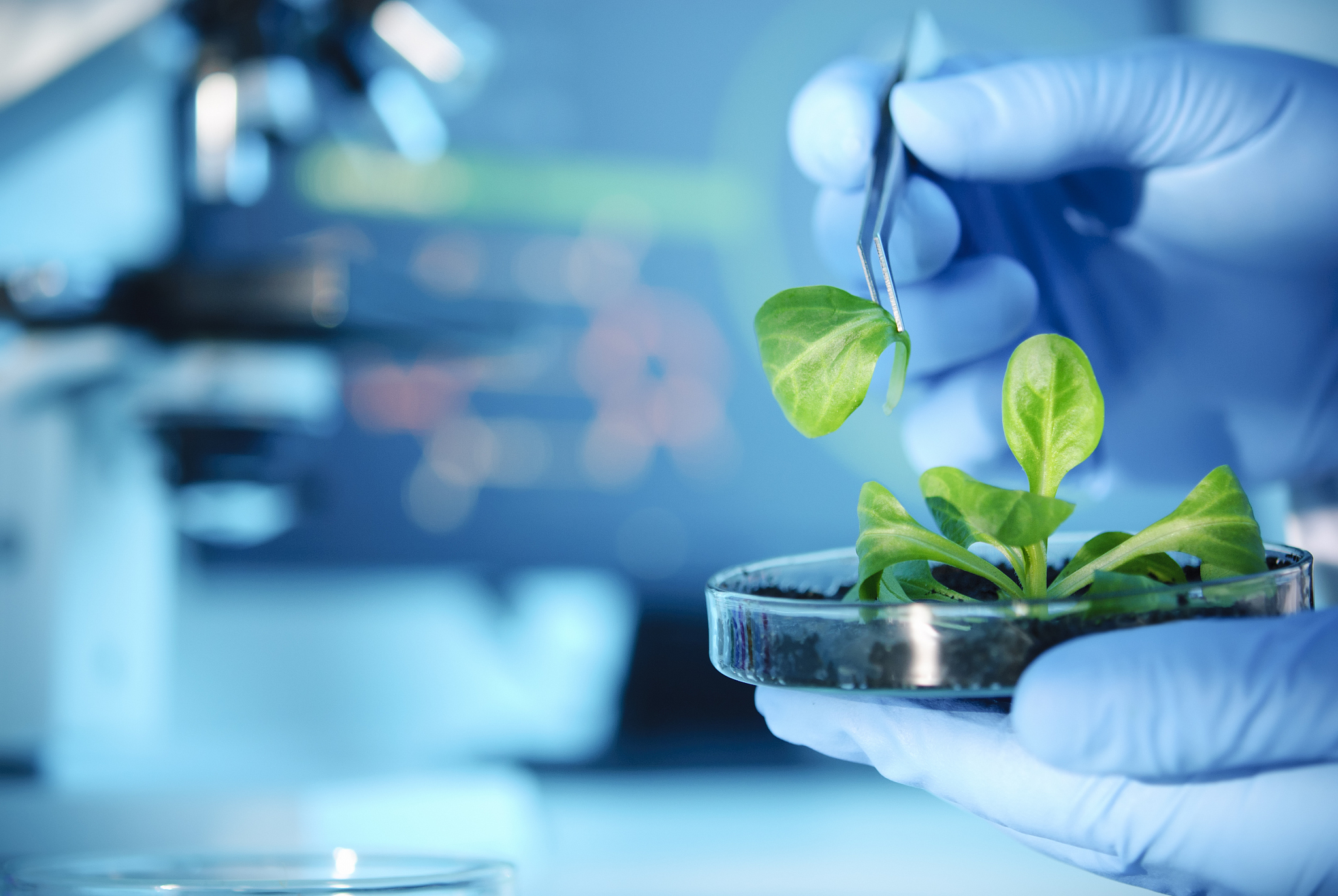 理解生物工程对公众的安全、健康和福祉能够在工程实践中自觉履行责任