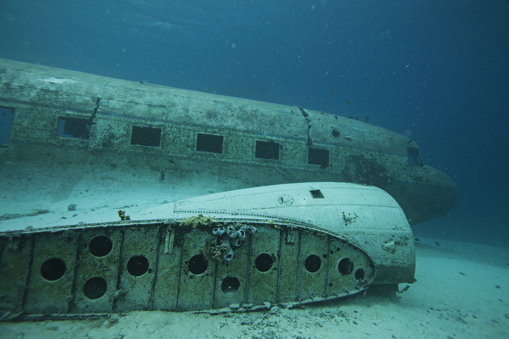 the airplane which sank underwater