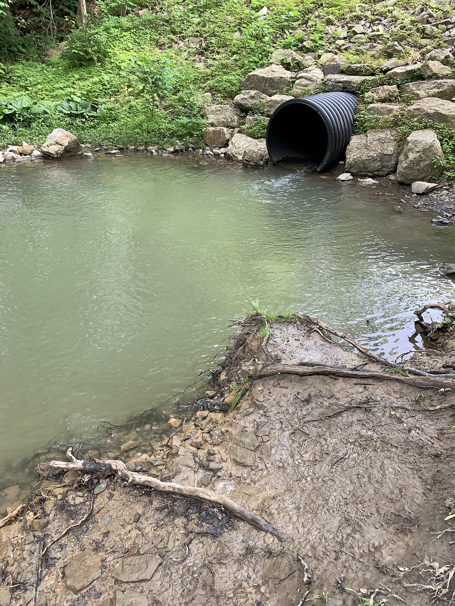 2城市居民饮用末梢水无导致腹泻的风险和疾病负担农村地区不同水期和乡镇的末梢水经常出现风险和疾病负担超标的问题居民时常处于危险之中
