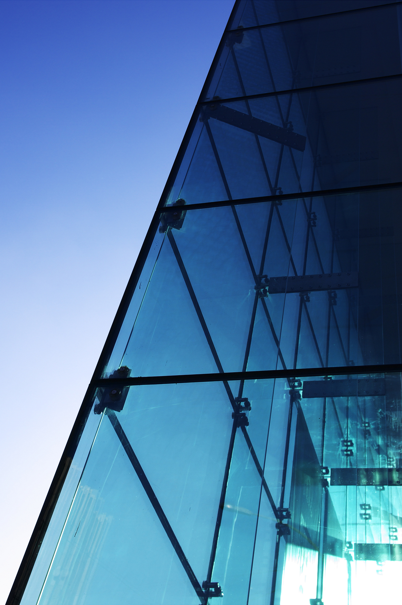 glass wall of the house
