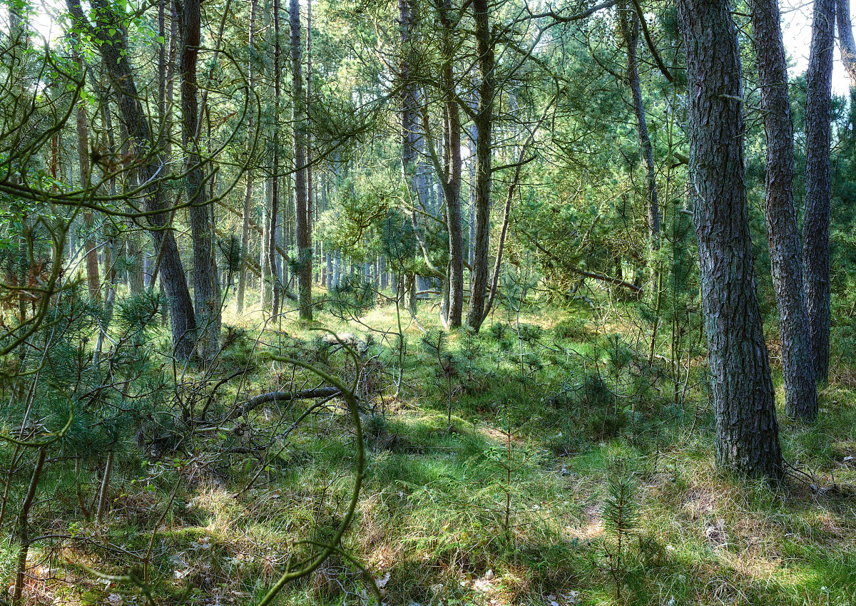 厦门林学类专业有哪些？未来哪些专业前景好？