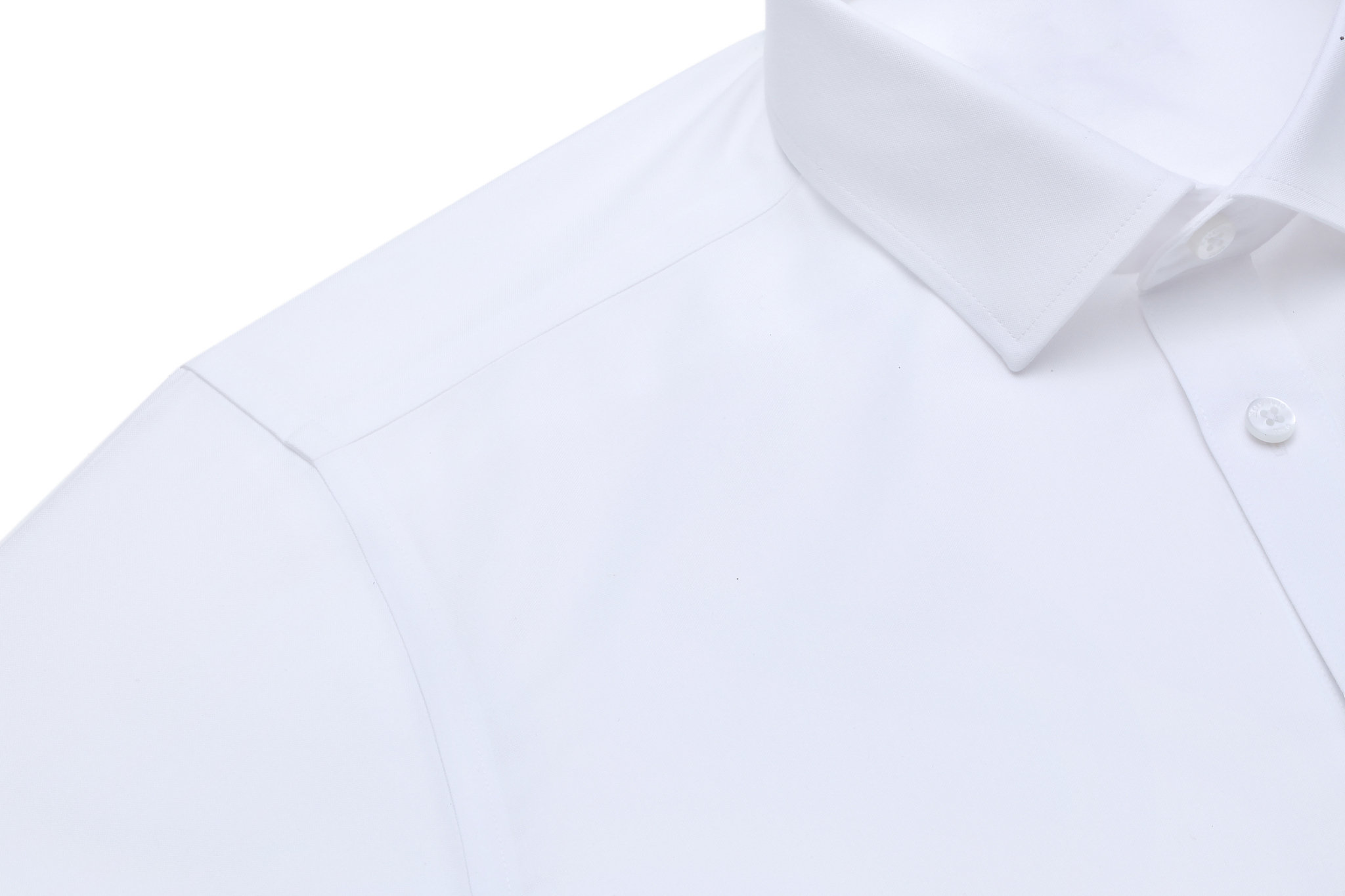 白色经典 弟之白