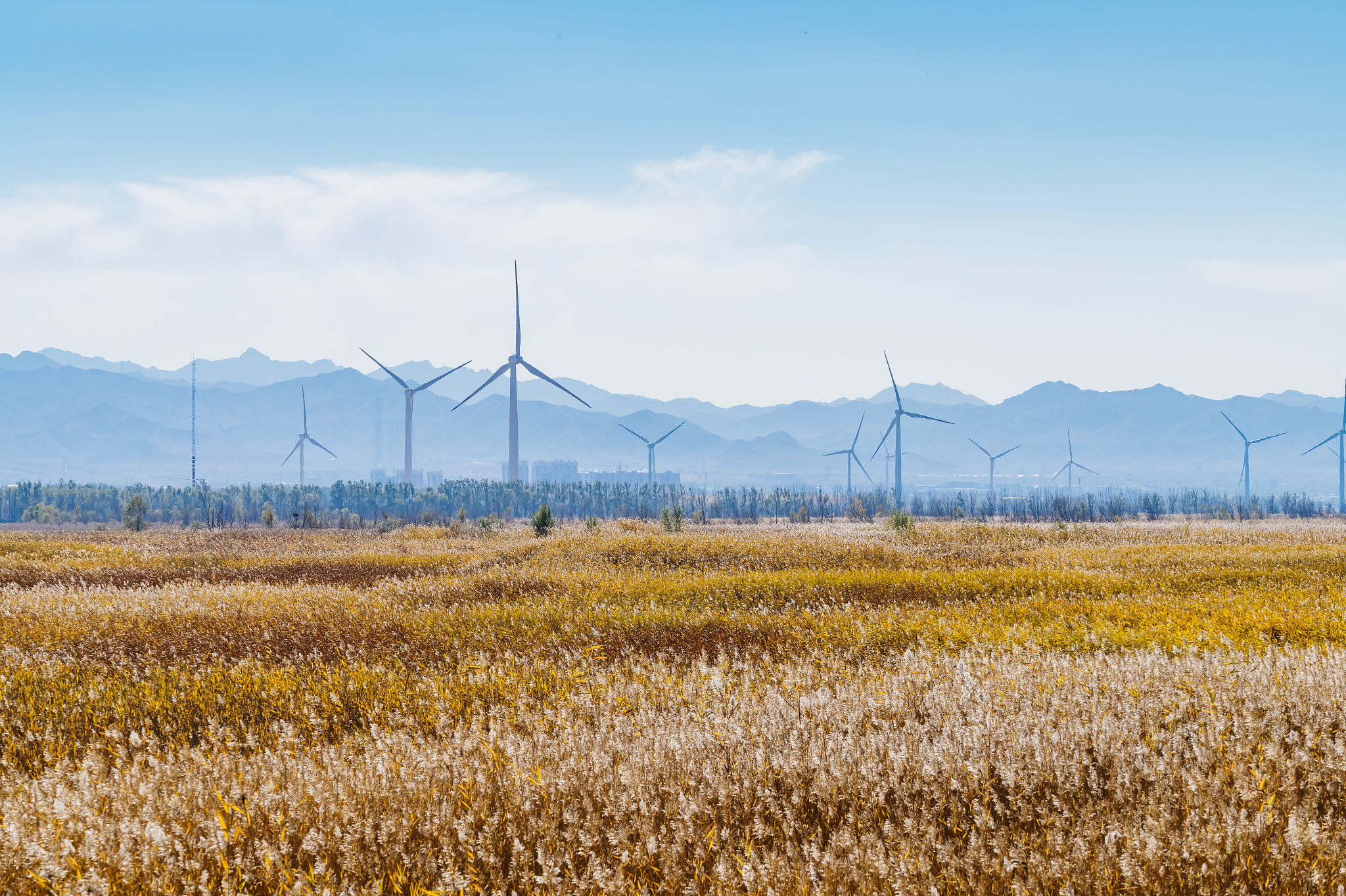 吉林大学的材料物理专业前景如何