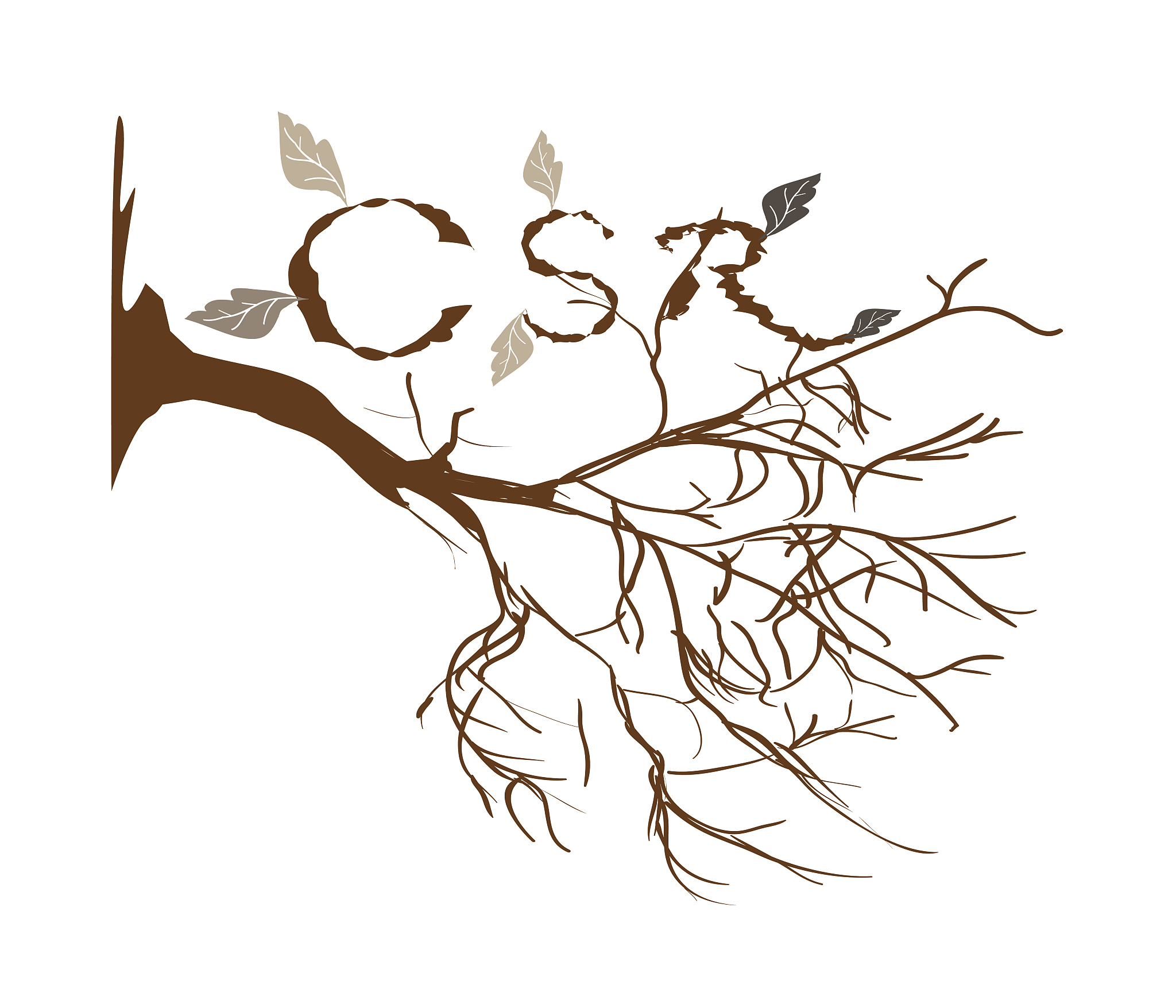 公司法治：依法经营，促进企业发展和社会和谐