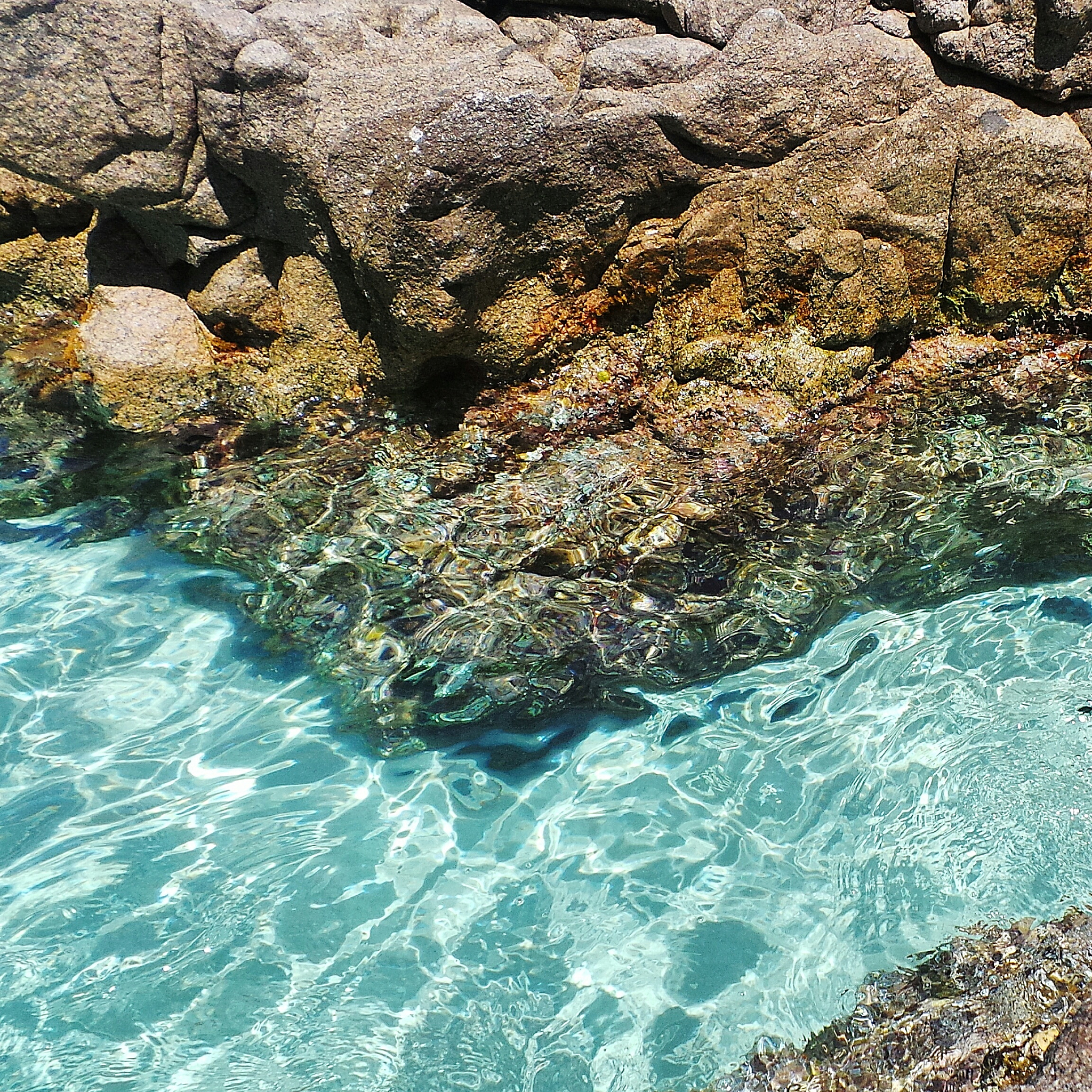 Impact of Riverine Source Rock Buoyancy on Global Ocean POC Flux Simulation Impact of Riverine Source Rock Buoyancy on Global Ocean POC Flux Simulation