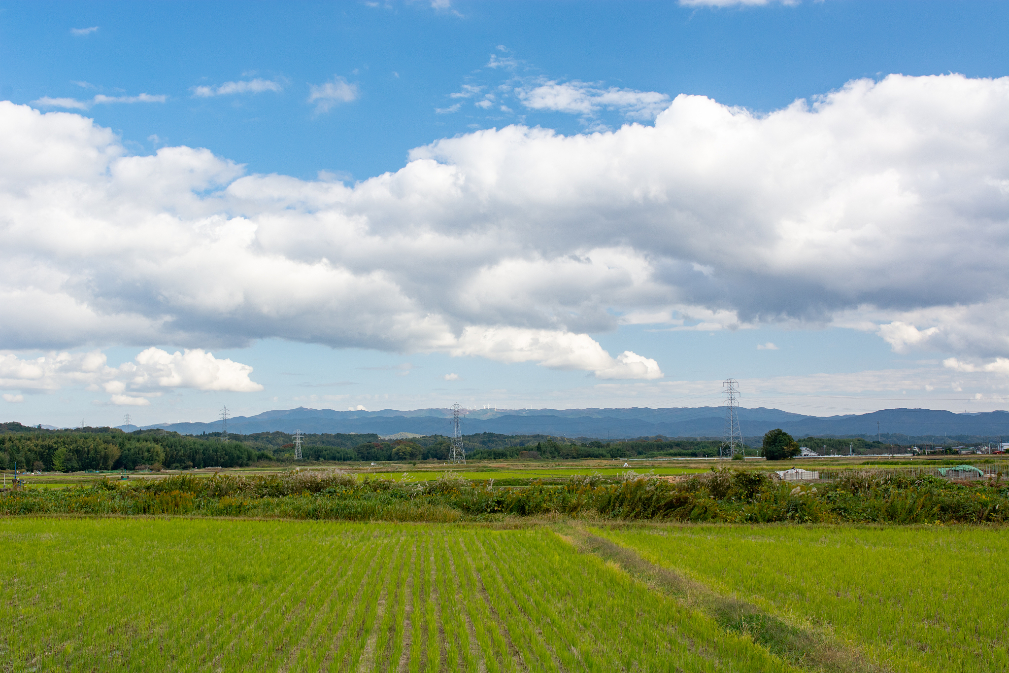 遵义重美职业技术学校怎么样？好不好？