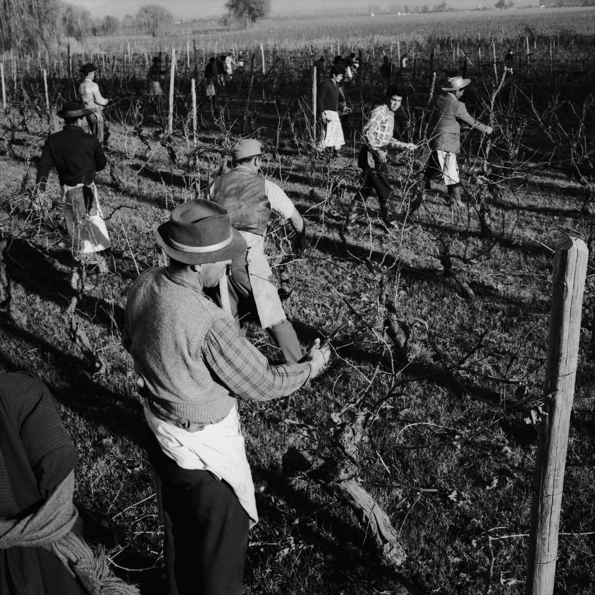 中国社会主义改造：六大基本经验详解