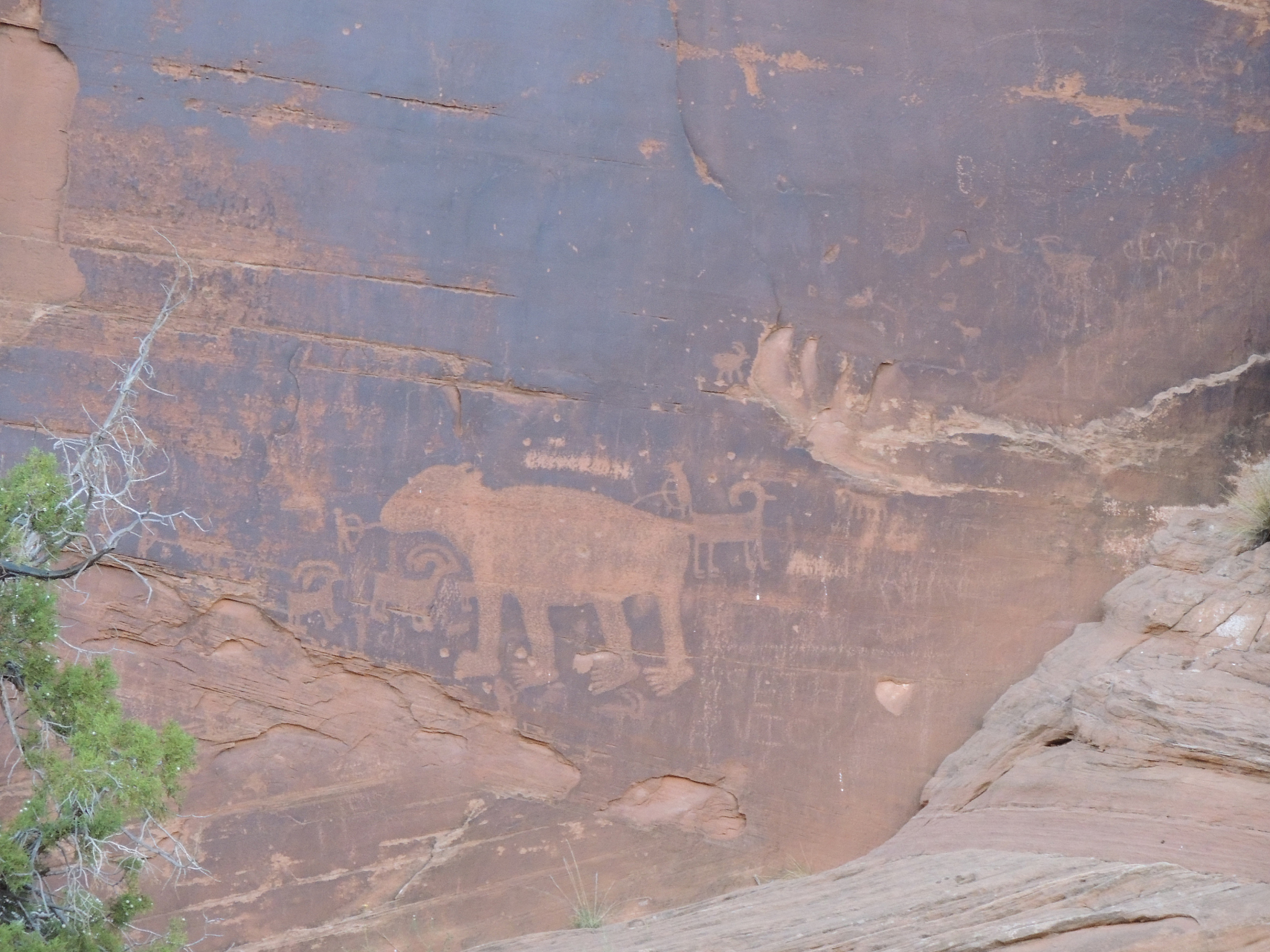 prehistoric native american petroglyph