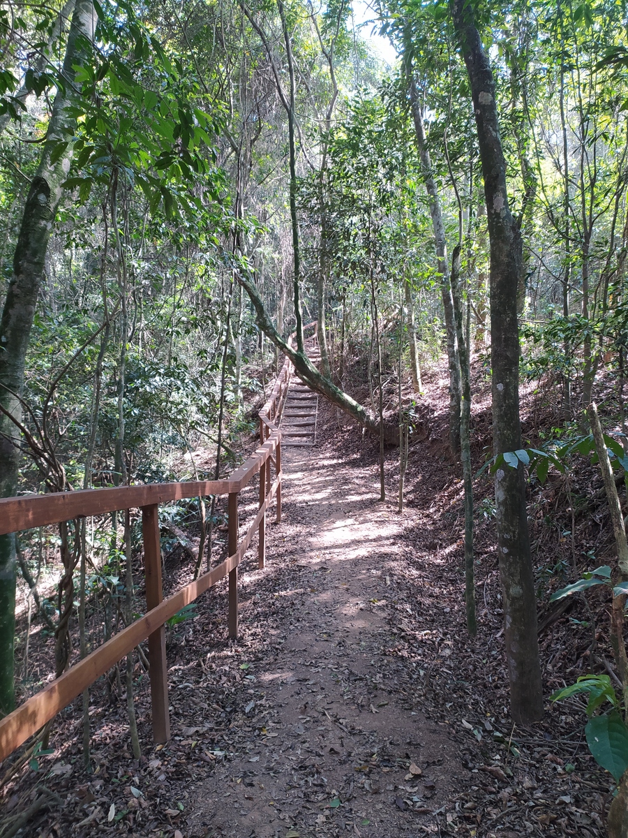 广州增城一日游