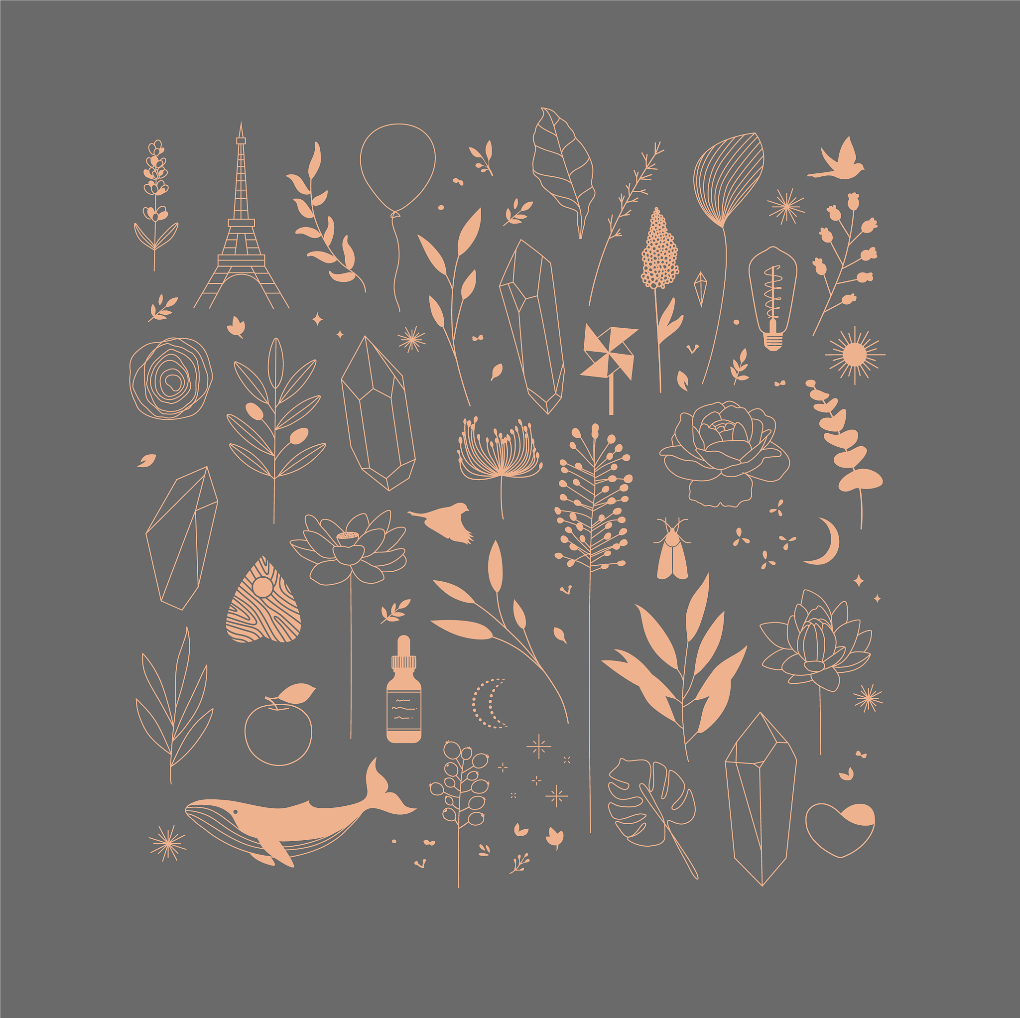 绍兴文理学院书法学专业就业方向