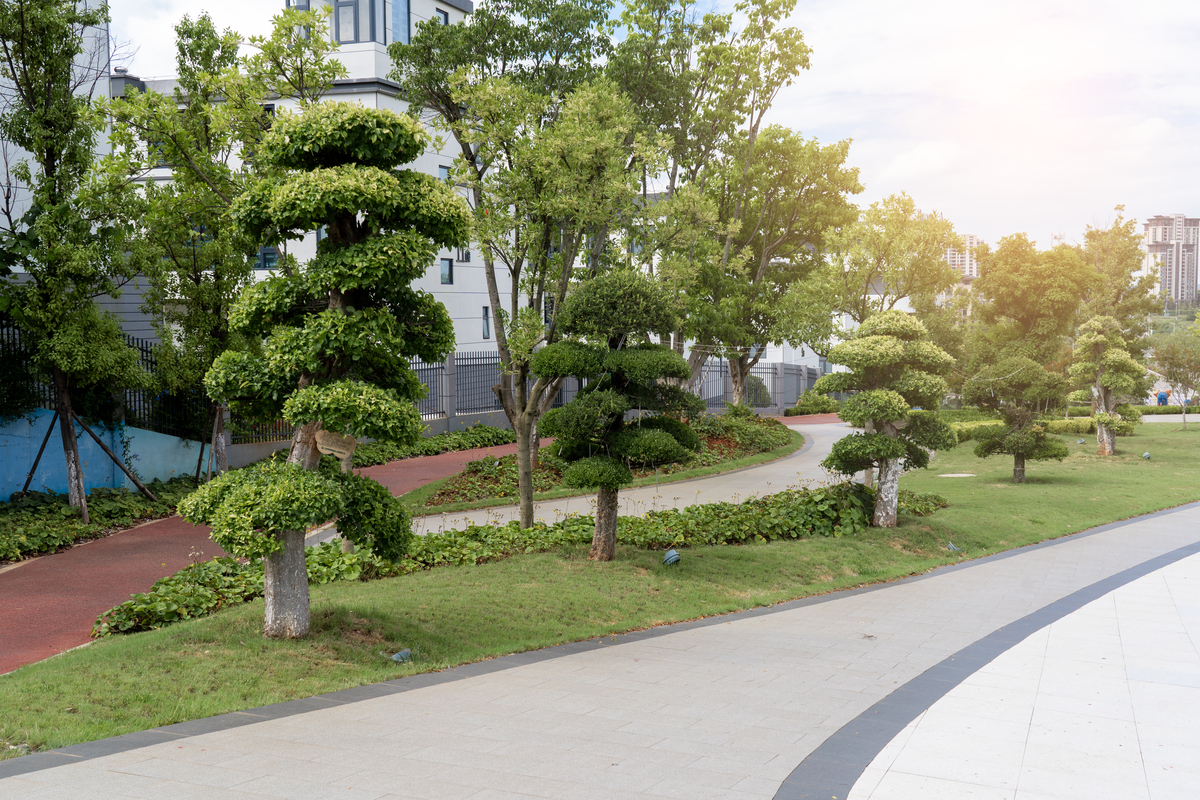 园林技术重要性：城市建设不可或缺的学科