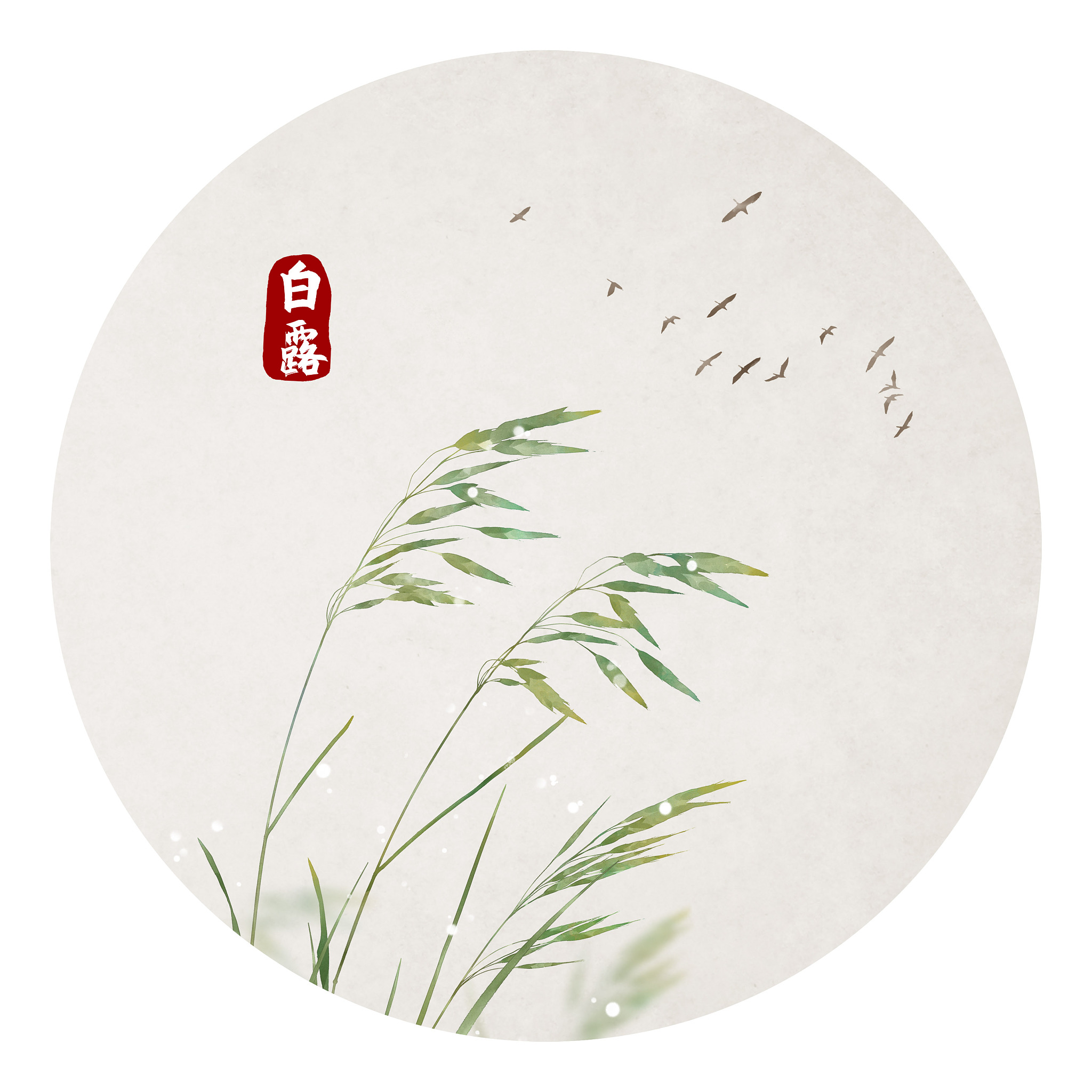 白露节气：起源、发展、习俗 - 100字简介