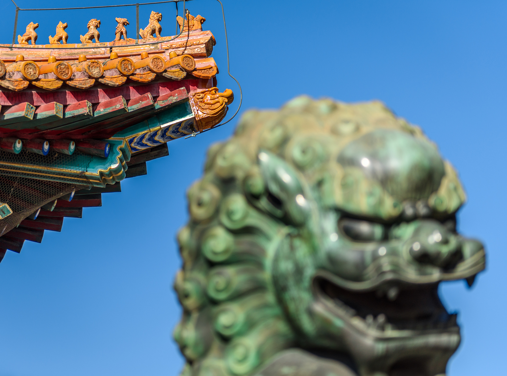 文山农业学校园林技术专业就业前景分析