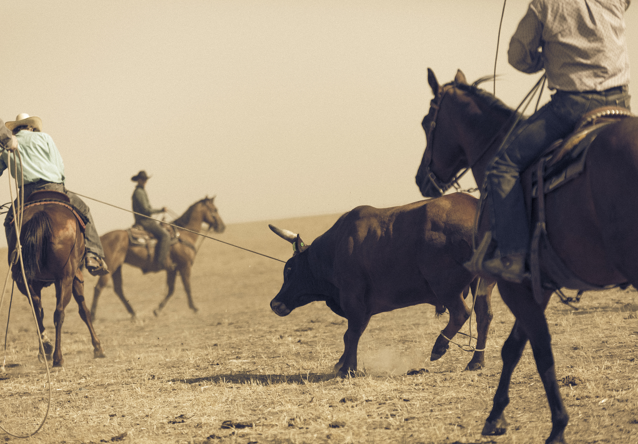 在美国称呼牛仔是什么意思