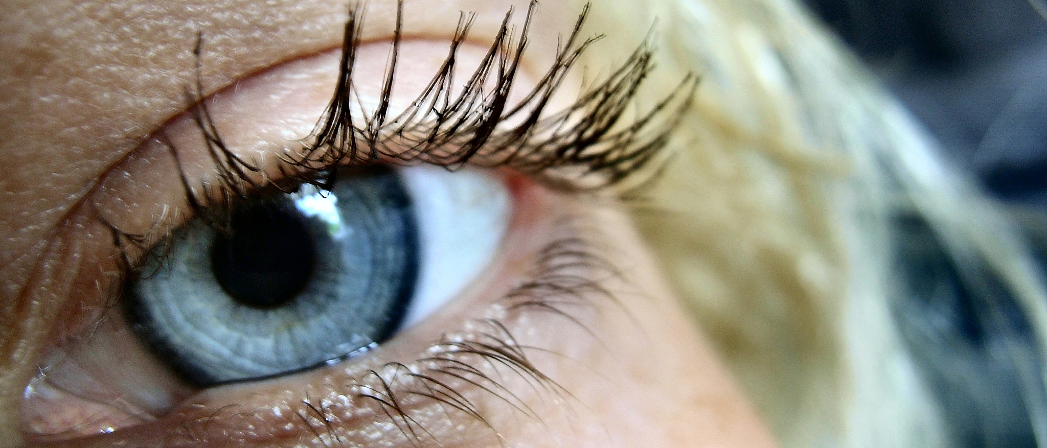 human eye