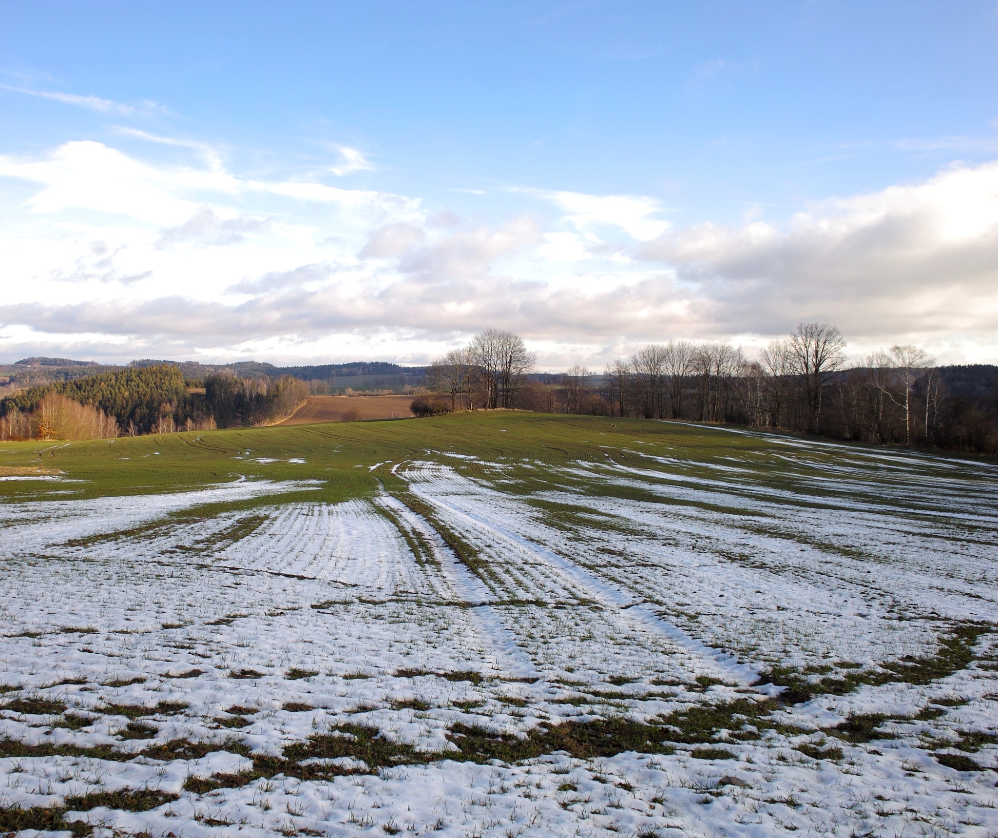 润色下面这个句子：The historiography of studies mainly focused on the winter wheat season especially for water management while ignoring the following effects on the subsequent summer maize