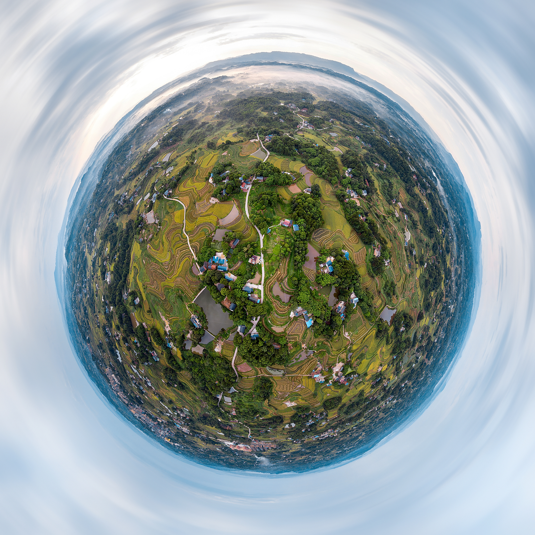 vue项目引用cesium