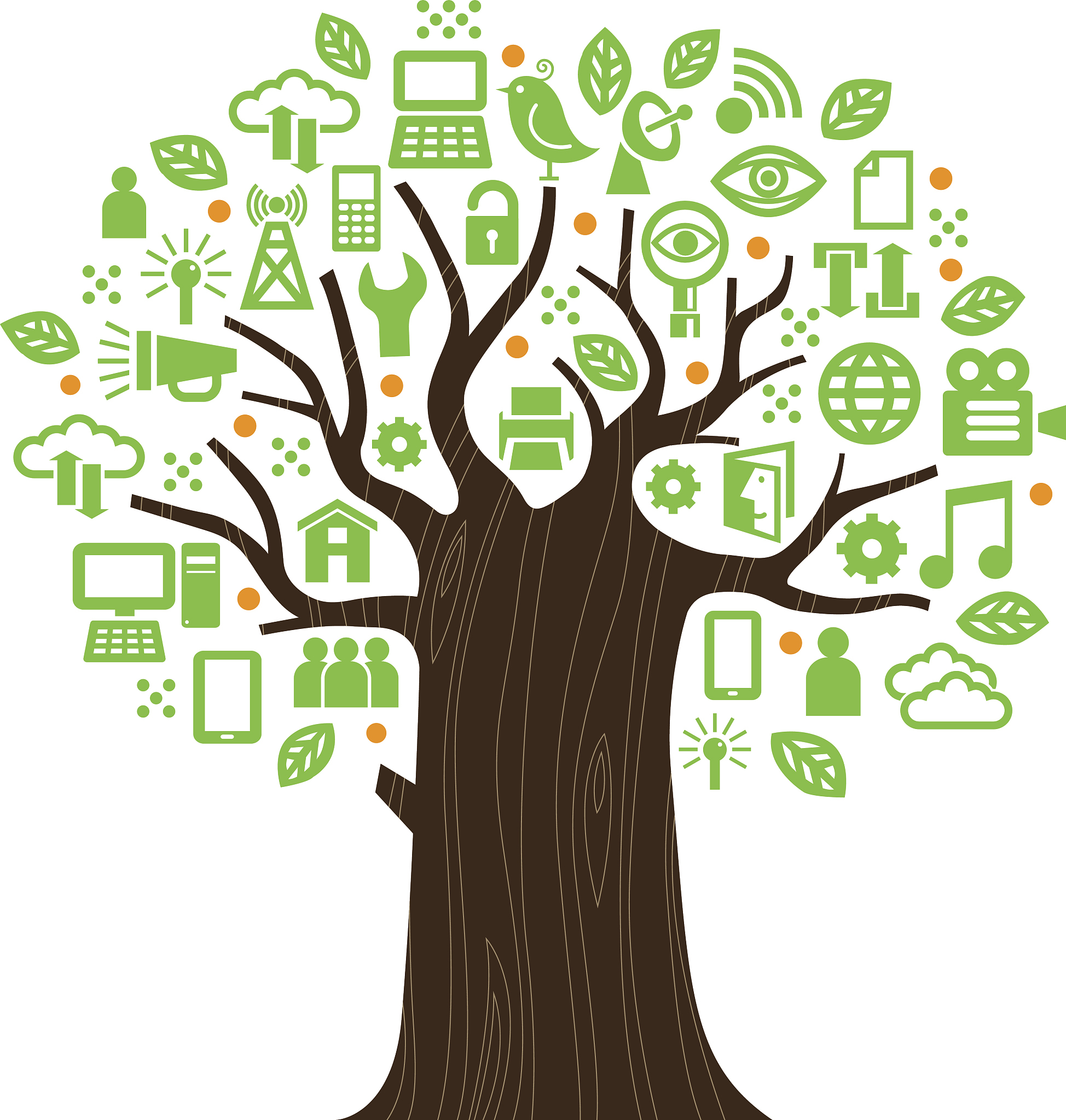 从研究对象、研究内容、研究方法等方面阐述音乐树课程对5-6岁幼儿执行功能影响研究的研究创新点500字