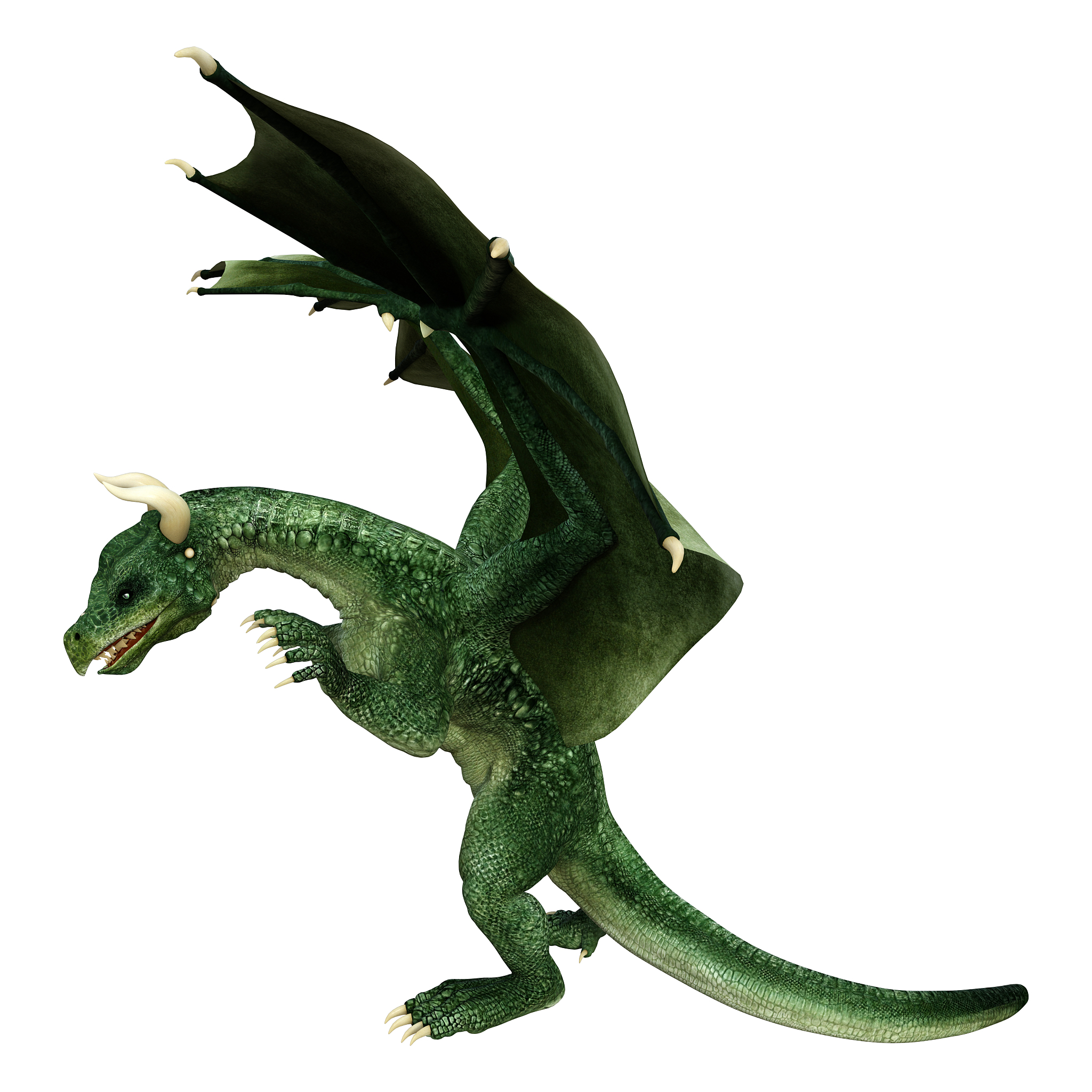 3d illustration fantasy dragon on white