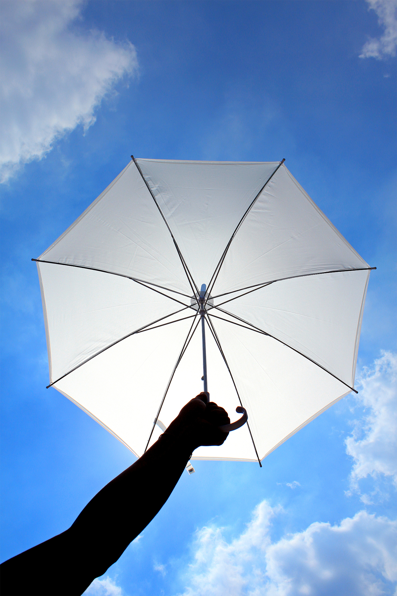 white umbrella in the hand
