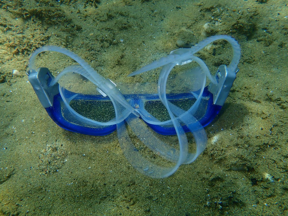 灰水排海要求：保护海洋生态系统的关键
