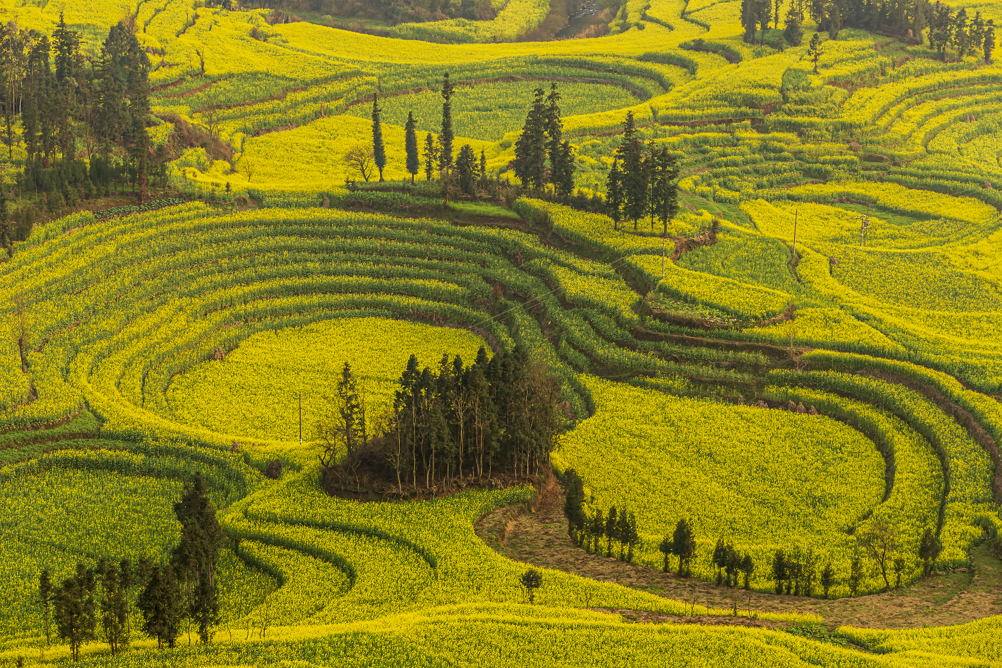 云南农业职业技术学院畜牧兽医专业就业前景怎么样