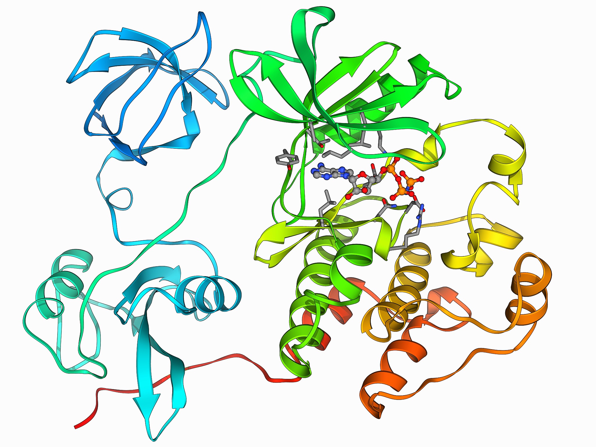 蛋白质变性：条件、原因及实验应用