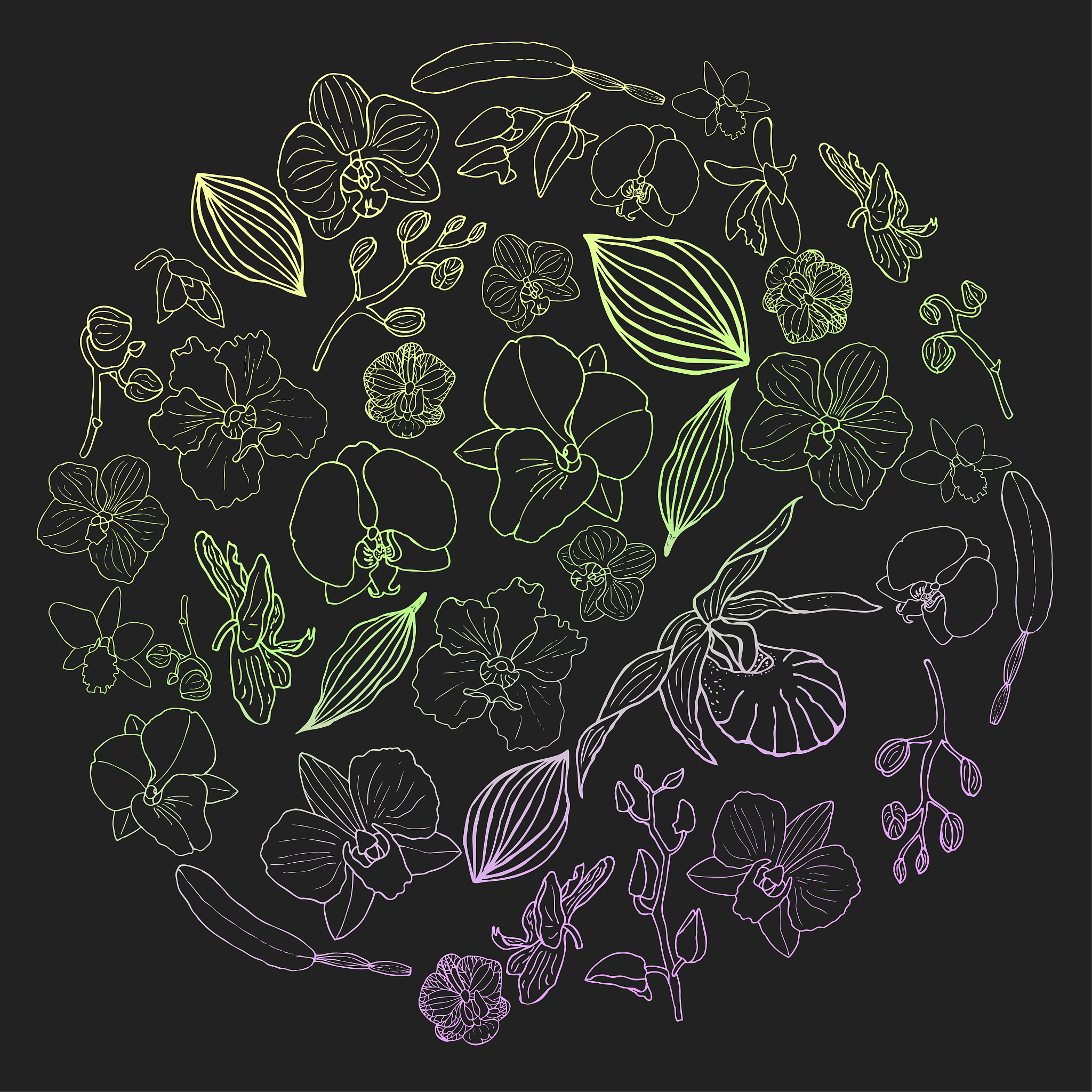 hand drawn set of orchid flowers in circle shape with gradient .