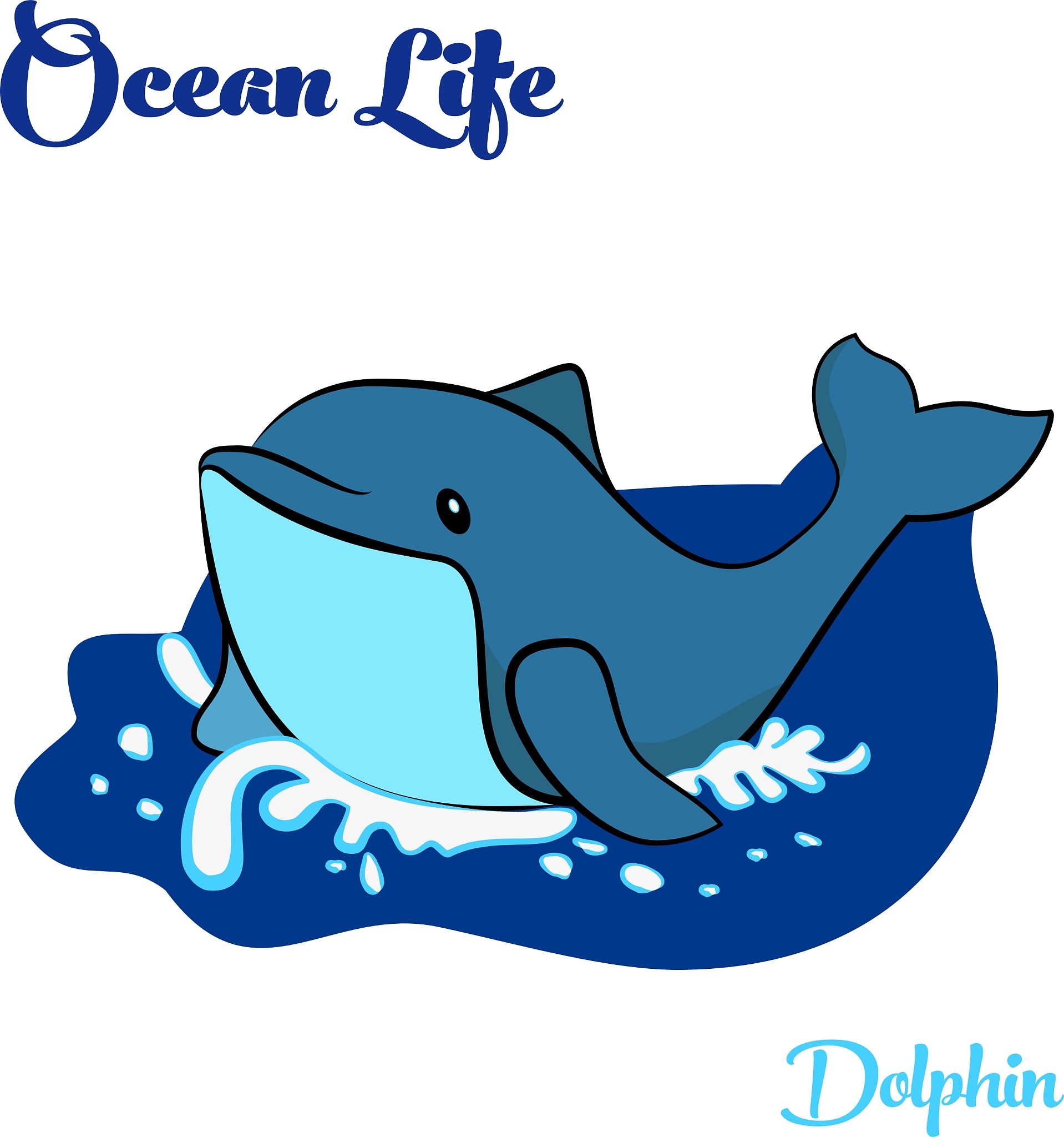 海豚计划是什么？ - 详细解读与常见问题解答