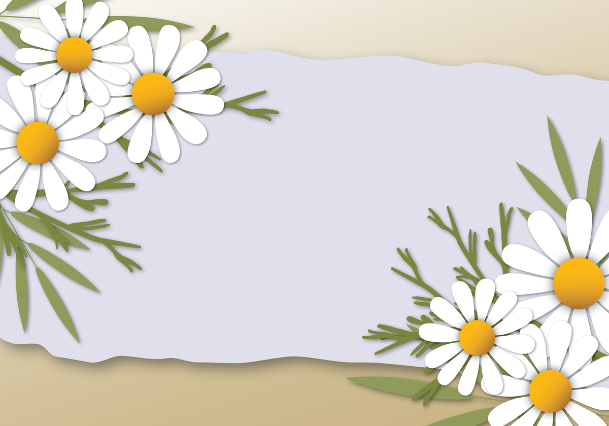 实木餐桌垫价格 - 了解品牌、材质、尺寸影响