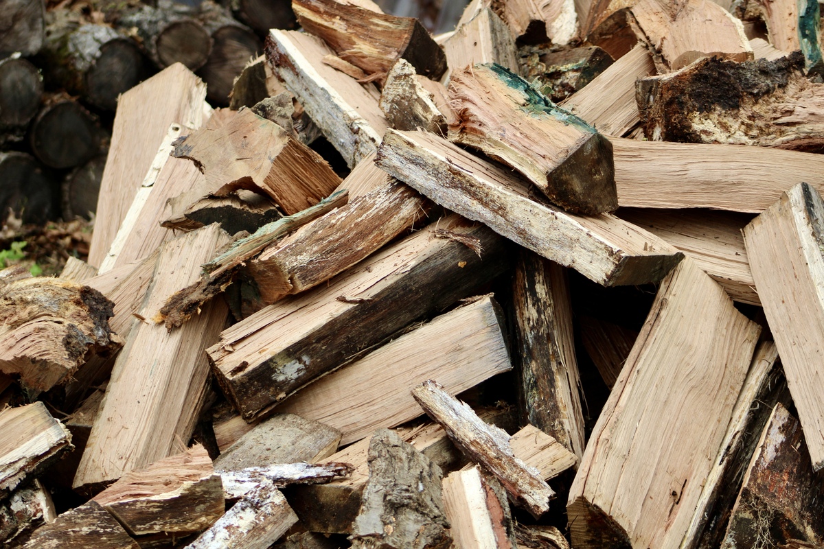 榆白皮、青冈树皮、楤木、鸭脚木皮、杜仲椿皮、厚朴、黄柏、秦皮、牡丹皮、松皮、地骨皮、山高梁梓白皮、旱冬瓜、刺楸、地枫皮、救必应、紫荆皮、浙桐皮、红豆杉树皮