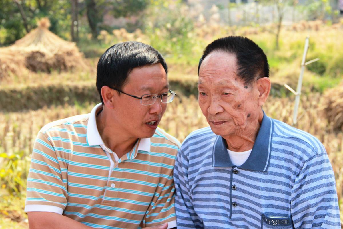 2014年10月10日,由"杂交水稻之父"袁隆平院士领衔攻